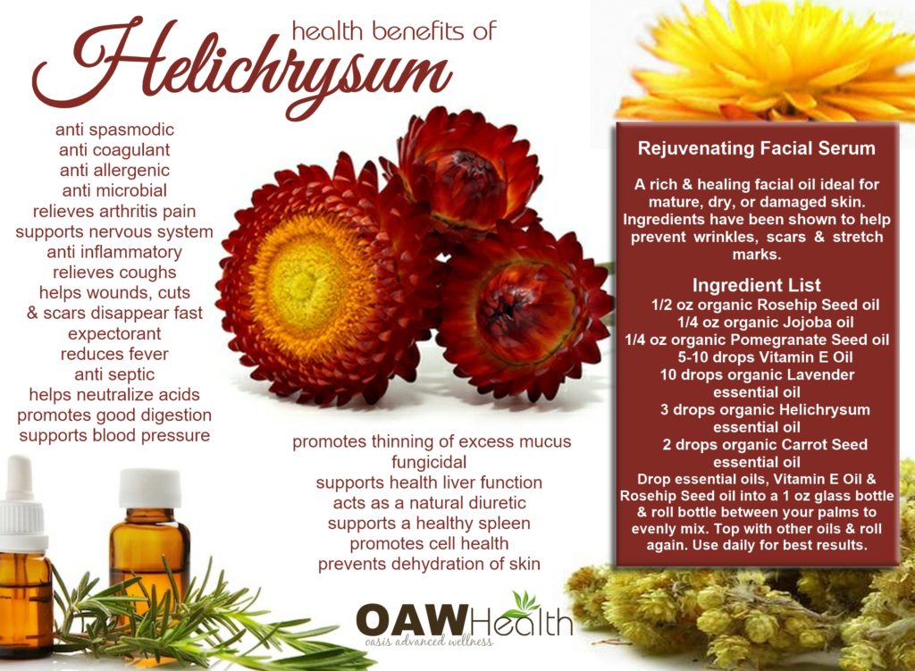 health benefits of helichrysum