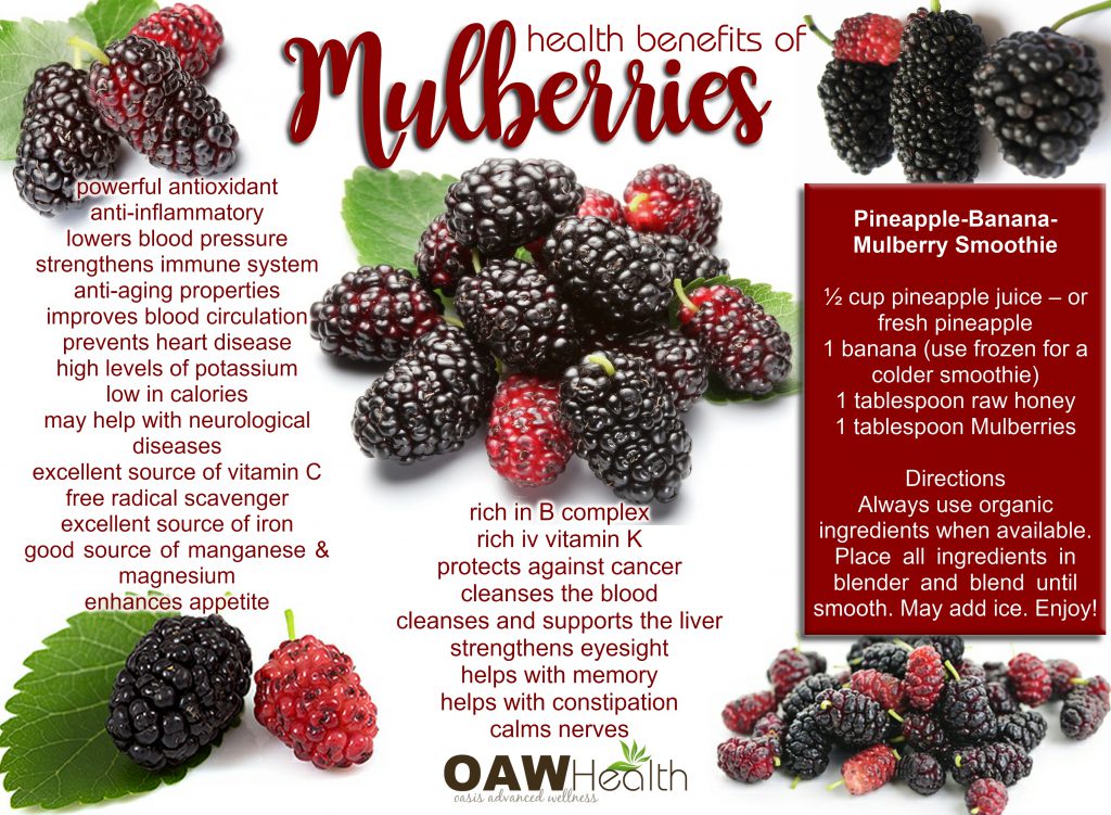 Mulberry benefits discount