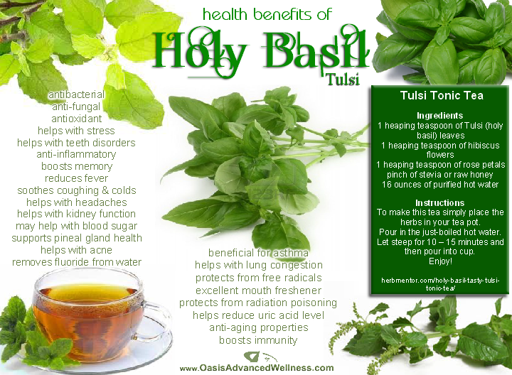 Health Benefits of Holy Basil (Tulsi)