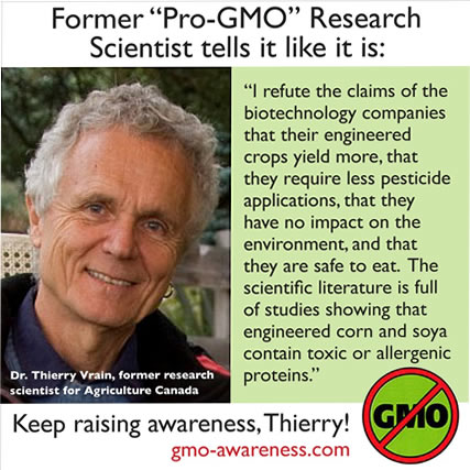 thierry vrain comment about gmo research