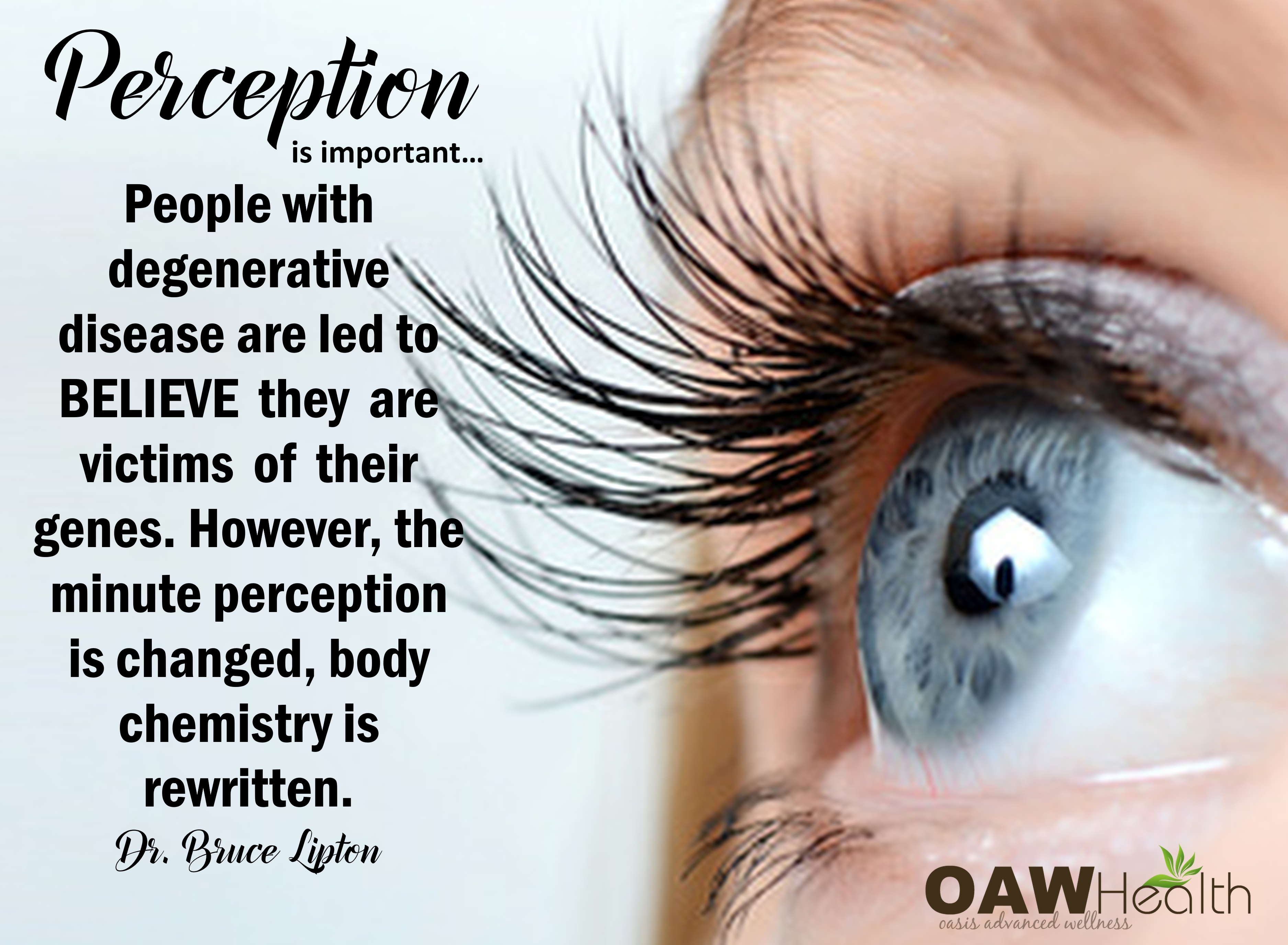 Perception Belief Genes & Your Health