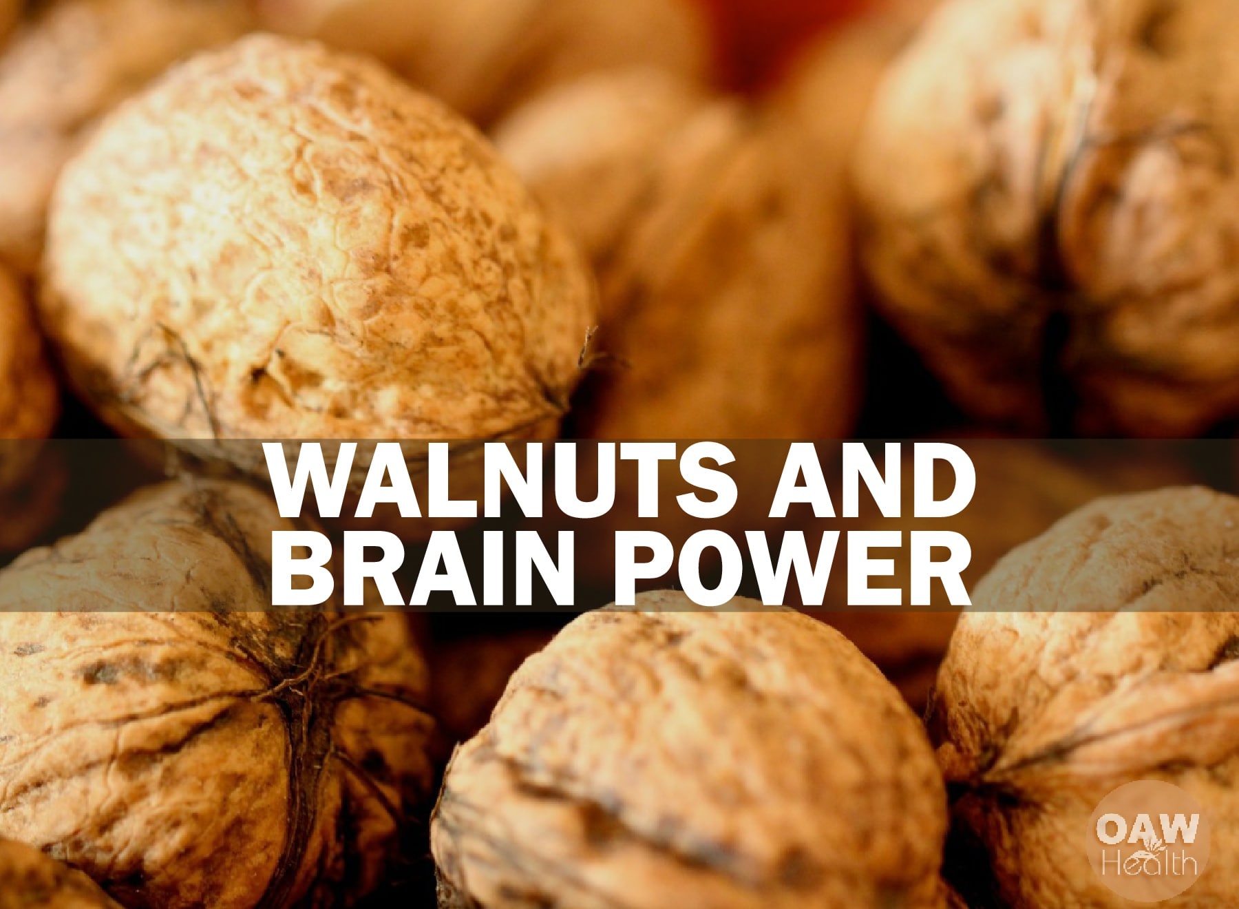 Walnuts and Brain Power