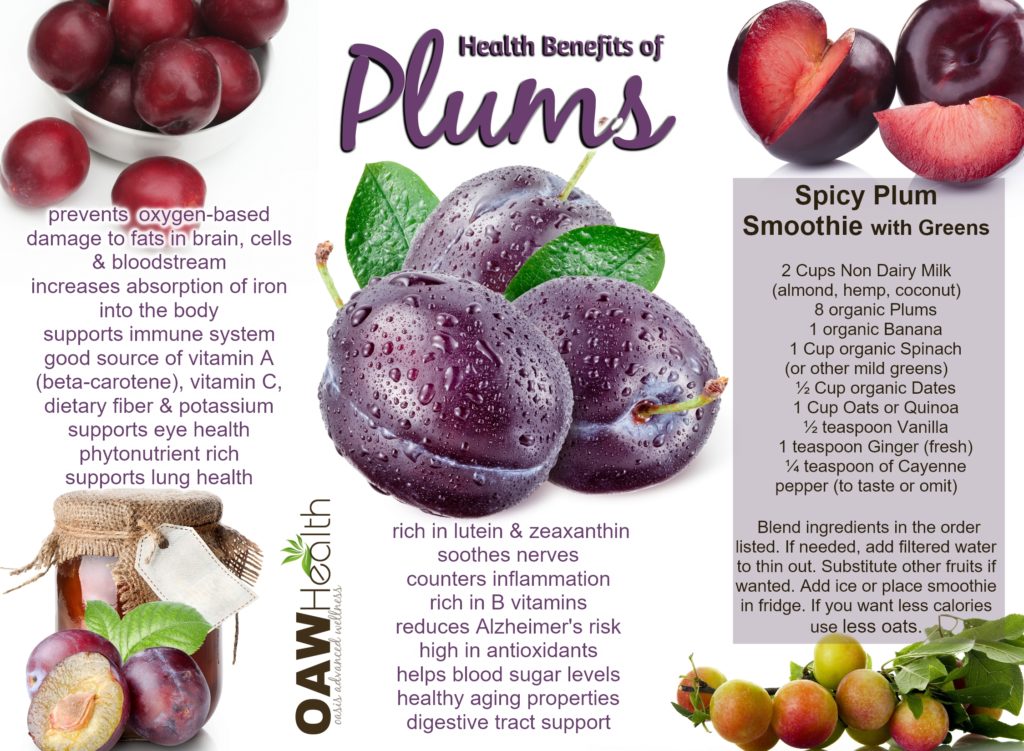 PLUM BENEFITS