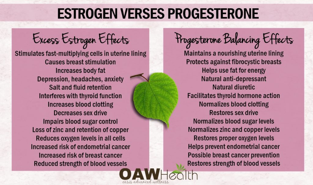 estrogen verses progesterone