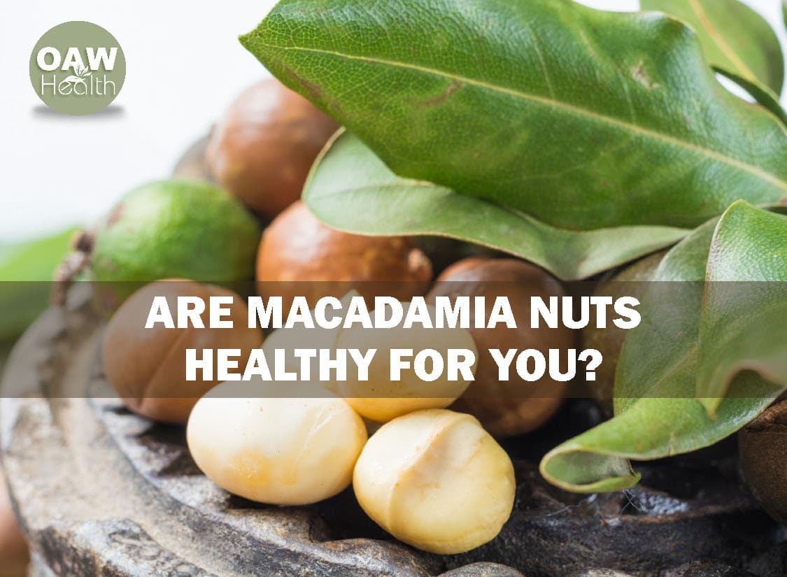 Are Macadamia Nuts Healthy for You? OAWHealth