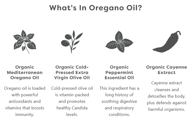 ingredients in oregano oil